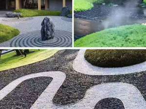 绿化苗木