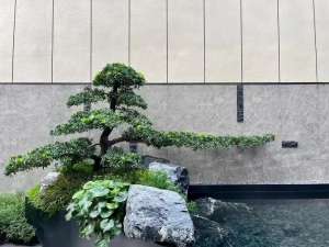 景观设计